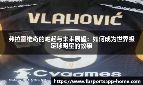 FB体育官网